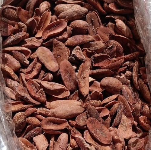 100 natural dried mahua seeds madhuca longifolia 730