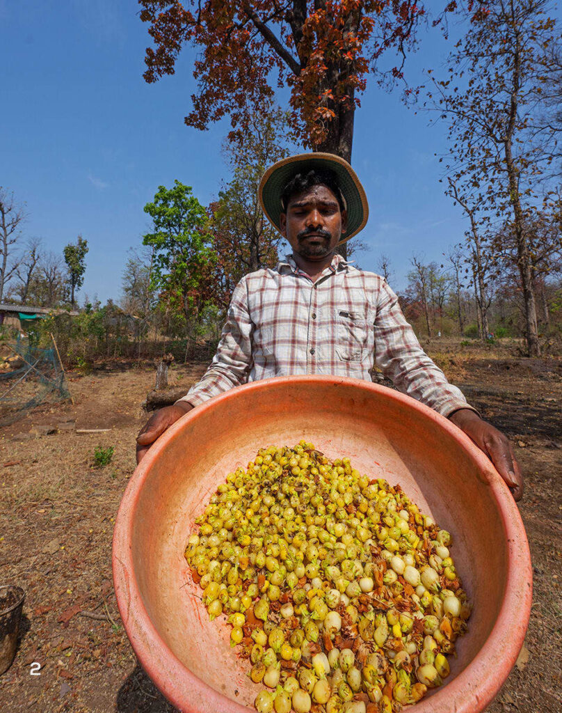 dang mahua seed flower man one dhritiman mukherjee 1752475179924
