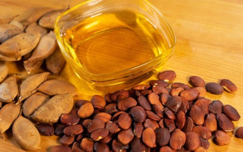 karanja oil 500x500 1